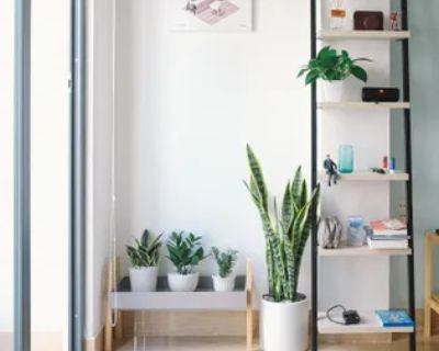 McFarren Boulevard. Rental Period: Unlimited. Available from: ASAP. Welcome to this spacious 3-bedroom, 1.5-bathroom townhouse at 5260 McFarren Boulevard in Mississauga, offering the perfect combination of modern living and convenience. Located in the sought-after Churchill Meadows neighborhood, this townhouse boasts a well-designed layout, featuring a bright and ai... Welcome to this spacious ...