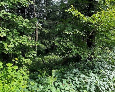 Land For Sale in Forestport, NY