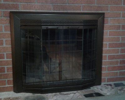 Fireplace doors