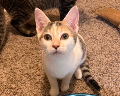 Child. Cream or ivory. Meet Galadriel!