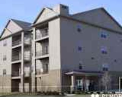 1 Bedroom 1BA 910 ft² Apartment For Rent in Omaha, NE 224 N 49th St unit # 2B