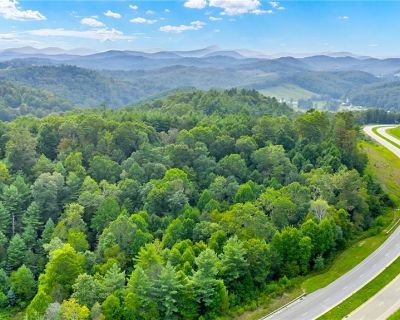 1 Bedroom Vacant Lot For Sale in Fleetwood, NC