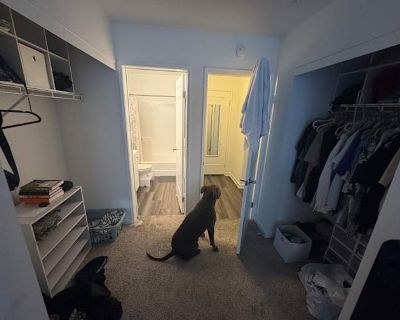 Available on: now. Unfurnished. Pet friendly. Parking available * Cat friendly * Dog friendly * Children friendly * Students welcome. I am looking to move out of San Diego, I have a LEASE TRANSFER option available for anyone looking to take over a less than a year lease at a lower fixed cost than the office is giving out 1beds for currently (one of the only renovated models available) I started...