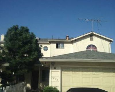 Large Furnished Room for Rent with Private bathroom