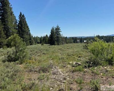 Unimproved Land For Sale in ISLAND PARK, ID