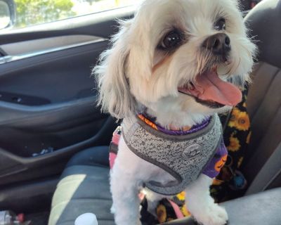 Total rooms: 4. Deposit: $900.00 * Utilities included?: Yes * Fees apply?: No. No preference. Non-smoking. Not for couples. Furnishings: Furnished * Parking: Yes * Living room: No * Broadband included: Yes. Availability Available Now Minimum term None Maximum term None. Clean quiet area & home. Quiet peaceful area, with ranch style home. It has an in-ground pool & patio with gas barbecue grill ...