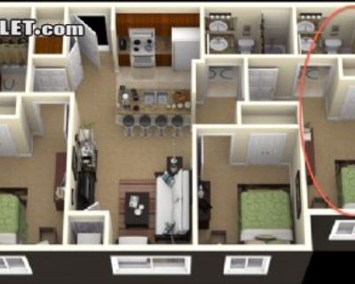 Furnished Room for Rent in 3 Bedroom 3+ BA Apartment in Ann Arbor Northeast, Michigan