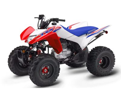 2025 Honda TRX 250X