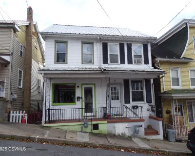 3 Bedroom 1BA 1125 ft Apartment For Rent in Shamokin, PA