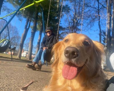 Jeanie Burness (Has an Apartment) on iROOMit. Room in the 2 Bedroom 1BA...