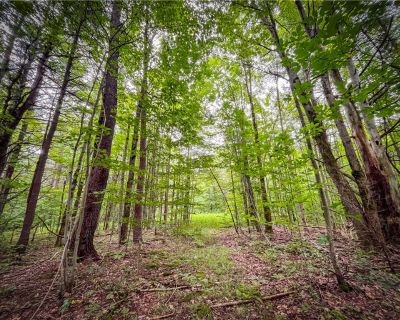 Lots and Land For Sale in Millport, NY