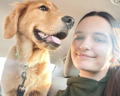 Experienced and Reliable Sitter in Ephrata, PA