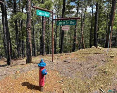 Unimproved Land For Sale in ROCIADA, NM