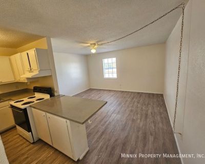 1 Bedroom 1BA 525 ft Pet-Friendly Apartment For Rent in Plainview, TX