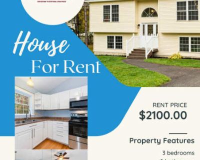 21 Yankee Avenue. image_url. W/D hookup Patio / balcony Garage Recently renovated Unit Amenities patio / balcony w/d hookup recently renovated Property Amenities parking garage. 3 Bedroom. 2 Bathroom. 2000 ft