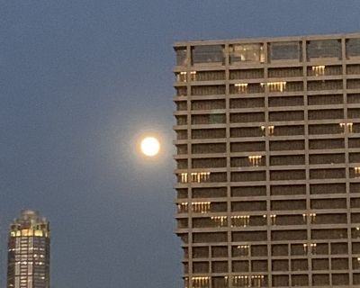 Female Seeking Room in Chicago