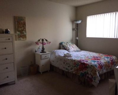 Private room with own bathroom in an apartment with 1 roomie