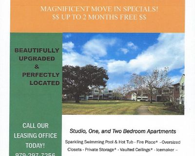 2 Bedroom 1BA 836 ft Apartment For Rent in Lake Jackson, TX