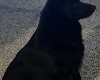 Meet Jack! He is looking for a girlfriend! If you have a pretty little girl that needs a boyfriend. Give him a 📞 call!