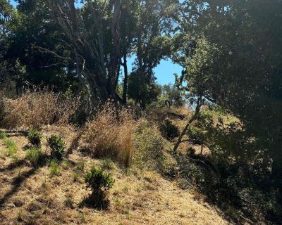 Lots and Land For Sale in Orinda, CA