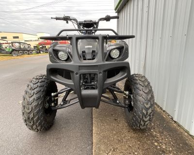 2021 Tao Motor Bull150 ATV Utility Howell, MI
