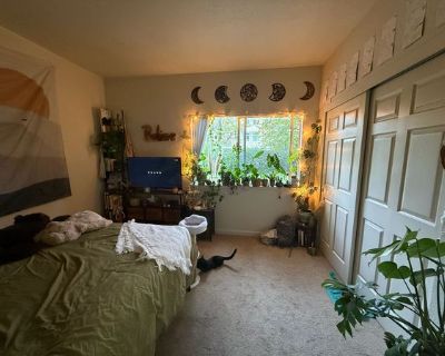 Jimi (Has an Apartment) on iROOMit. Room in the 2 Bedroom 2BA Pet-Friendly...