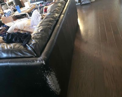 Black Check out the pictures at: