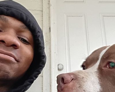 Phillip - Needs a House on iROOMit or a Room