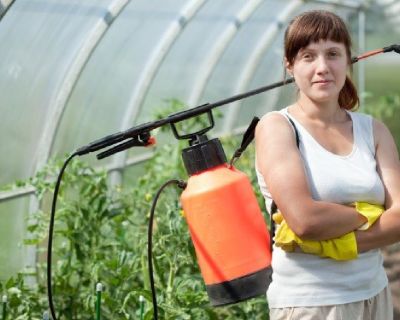 Residential Pest Control in Stuart