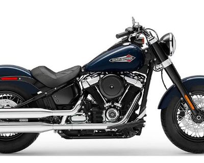 2019 Harley-Davidson Softail Slim Softail Scott, LA