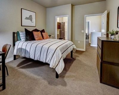 4 Bed - 4 Bath - C (Has an Apartment). Room in the 1 Bedroom 1BA Apartment For Rent