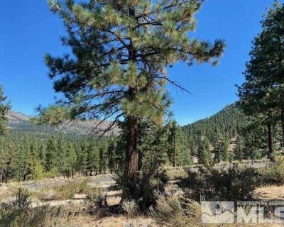 Land For Sale in CARSON CITY, NV