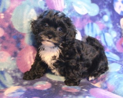 SHIHPOO