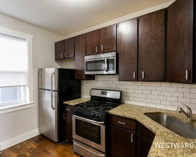 2 Bedroom 1BA 650 ft Pet-Friendly Apartment For Rent in Chicago, IL