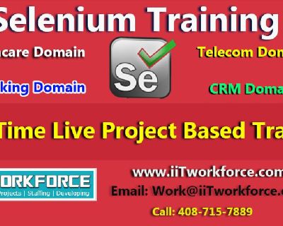 Selenium Real-time Project based Training & Workshop by iiT Workforce.