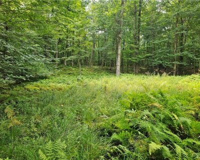 Lots and Land For Sale in Waverly, NY