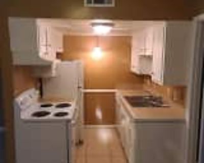 1 Bedroom 1BA 750 ft² Pet-Friendly Apartment For Rent in Little Rock, AR 719 Brookside Dr