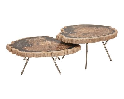 Relique Lastra Coffee Table, Polished Stainless Steel Legs & Natural Dark Top - Set of 2
