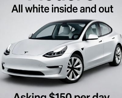 🚗 Rent a Luxe 2022 Tesla Model 3 *** All White Perfection! 🚗