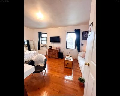 Unfurnished Room for Rent - Huge Room for Rent in 3br apt - LIC/ Astoria area