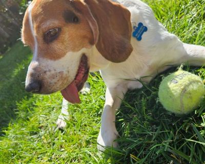 Tyler (Has a House) on iROOMit. Room in the 1 Bedroom 1BA House For Rent...