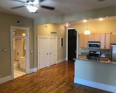 1 Bedroom 1BA 0 ft Pet-Friendly Apartment For Rent in St. Louis, MO