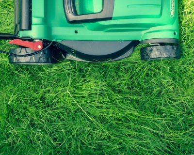 Are you Searching for a Lawn Fertilizing company?? Travis Pest Management offers Best Fertilizer Service in Stuart. We have Experts Team in lawn fertilization. If you Want bugs free and healthier plants in your lawn contact us at 772-287-7411