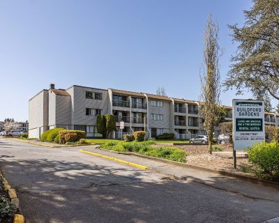 1 Bedroom 1BA 650 ft Pet-Friendly Apartment For Rent in Surrey, BC