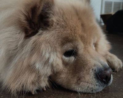 Jade Barger (Has an Apartment) on iROOMit. Room in the 2 Bedroom 1BA Pet-Friendl...