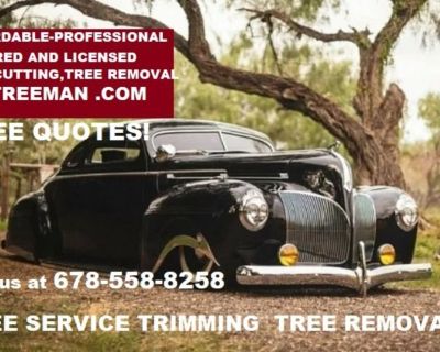 Tree Removal Services in Atlanta GA |Tree Removal Service (Over 99 5 star google FREE ESTIMATES