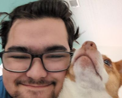 Liam - Needs an Apartment on iROOMit or a Room