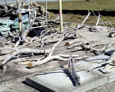 Drift Wood, Key West Drift Wood