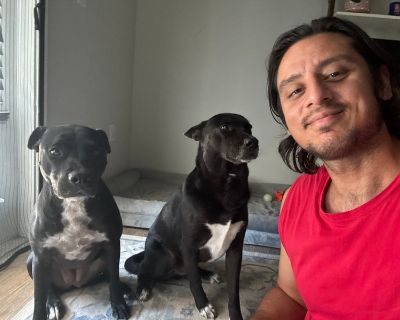 Unfurnished Room for Rent - Looking for a pet-friendly roommate