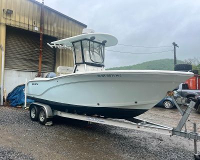 2014 Sea Fox 226 Commander
